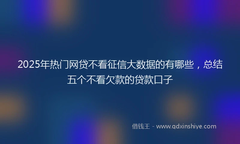 2025年热门网贷不看征信大数据的有哪些，总结五个不看欠款的贷款口子