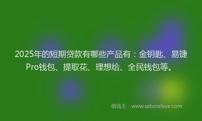 2025年的短期贷款有哪些产品有：金钥匙、易捷Pro钱包、提取花、理想给、全民钱包等。