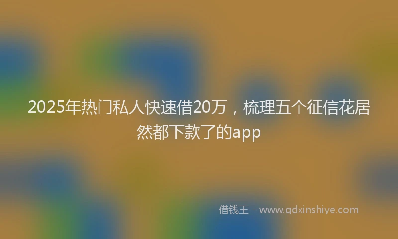 2025年热门私人快速借20万，梳理五个征信花居然都下款了的app