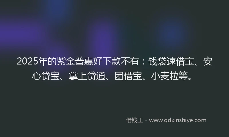 2025年的紫金普惠好下款不有：钱袋速借宝、安心贷宝、掌上贷通、团借宝、小麦粒等。