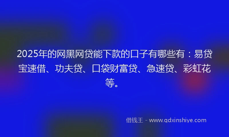 2025年的网黑网贷能下款的口子有哪些有：易贷宝速借、功夫贷、口袋财富贷、急速贷、彩虹花等。