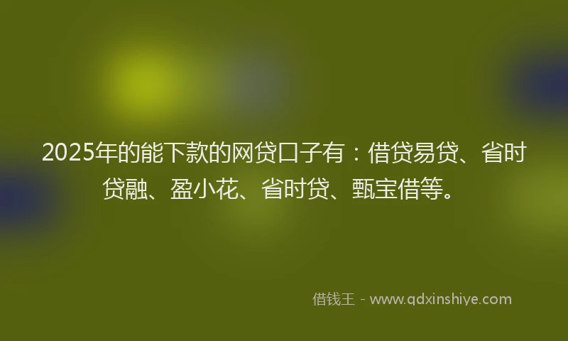 2025年的能下款的网贷口子有:借贷易贷、省时贷融、盈小花、省时贷、甄宝借等。