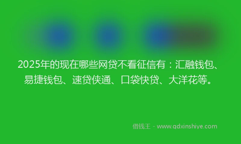 2025年的现在哪些网贷不看征信有：汇融钱包、易捷钱包、速贷侠通、口袋快贷、大洋花等。