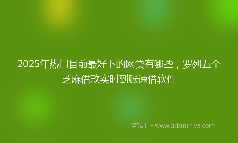 2025年热门目前最好下的网贷有哪些，罗列五个芝麻借款实时到账速借软件