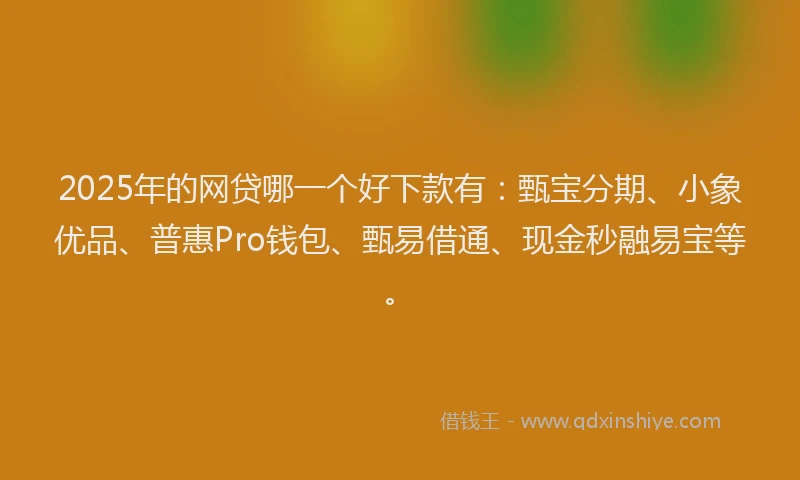 2025年的网贷哪一个好下款有：甄宝分期、小象优品、普惠Pro钱包、甄易借通、现金秒融易宝等。