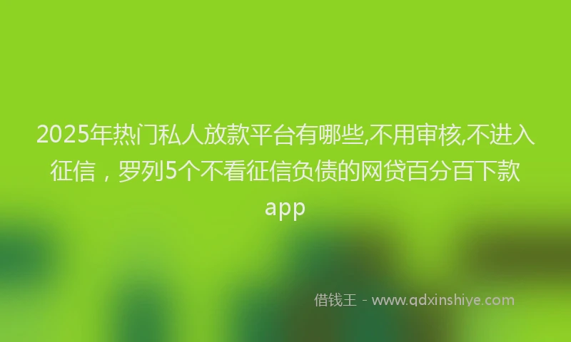 2025年热门私人放款平台有哪些,不用审核,不进入征信,罗列5个不看征信负债的网贷百分百下款app