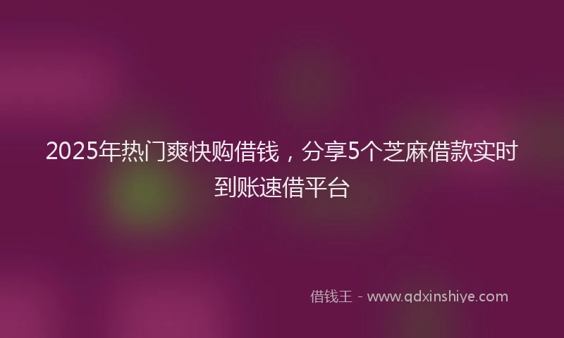 2025年热门爽快购借钱，分享5个芝麻借款实时到账速借平台
