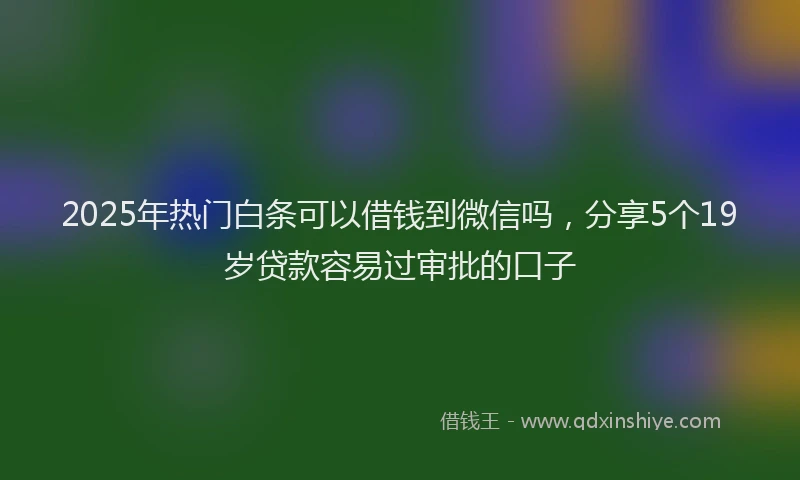 2025年热门白条可以借钱到微信吗，分享5个19岁贷款容易过审批的口子