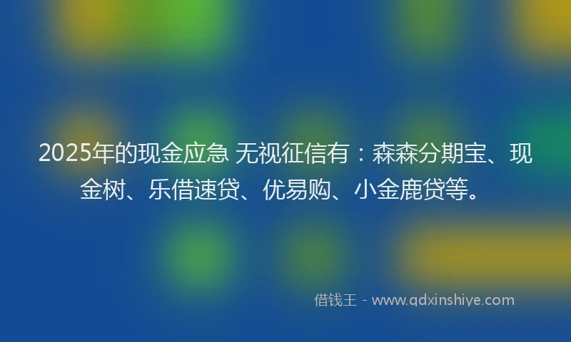 2025年的现金应急 无视征信有:森森分期宝、现金树、乐借速贷、优易购、小金鹿贷等。