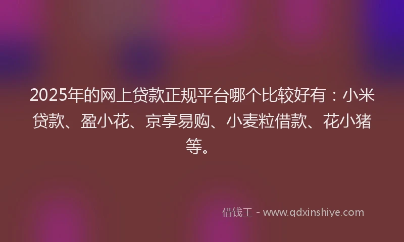 2025年的网上贷款正规平台哪个比较好有：小米贷款、盈小花、京享易购、小麦粒借款、花小猪等。