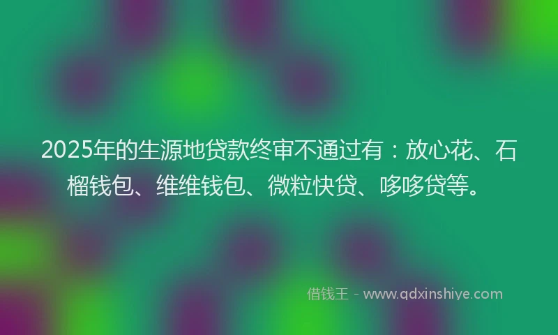 2025年的生源地贷款终审不通过有：放心花、石榴钱包、维维钱包、微粒快贷、哆哆贷等。