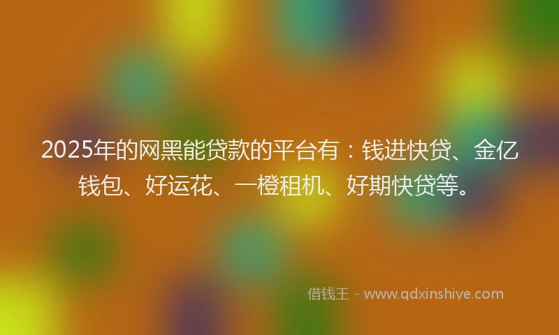 2025年的网黑能贷款的平台有：钱进快贷、金亿钱包、好运花、一橙租机、好期快贷等。