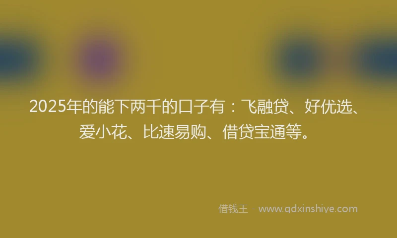 2025年的能下两千的口子有:飞融贷、好优选、爱小花、比速易购、借贷宝通等。