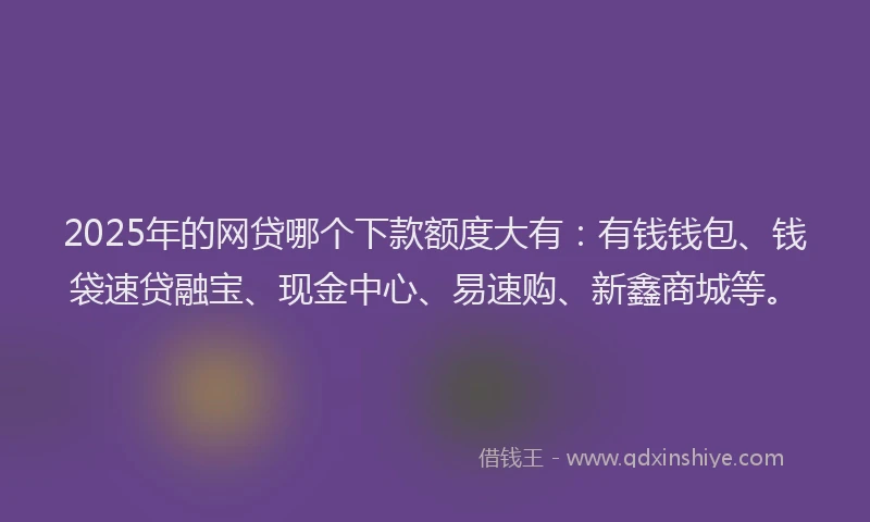 2025年的网贷哪个下款额度大有：有钱钱包、钱袋速贷融宝、现金中心、易速购、新鑫商城等。