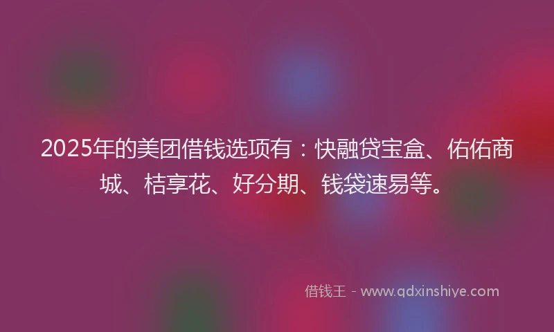 2025年的美团借钱选项有：快融贷宝盒、佑佑商城、桔享花、好分期、钱袋速易等。