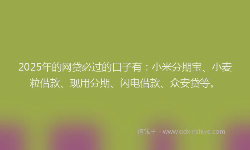 2025年的网贷必过的口子有:小米分期宝、小麦粒借款、现用分期、闪电借款、众安贷等。