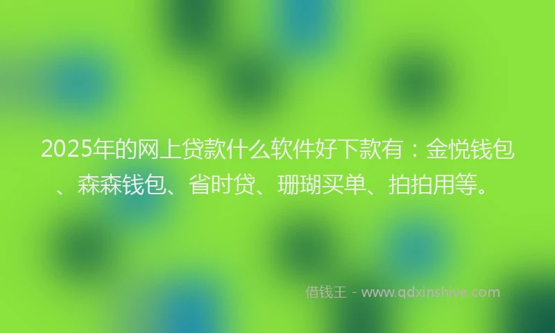 2025年的网上贷款什么软件好下款有:金悦钱包、森森钱包、省时贷、珊瑚买单、拍拍用等。