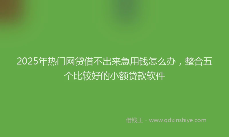 2025年热门网贷借不出来急用钱怎么办，整合五个比较好的小额贷款软件