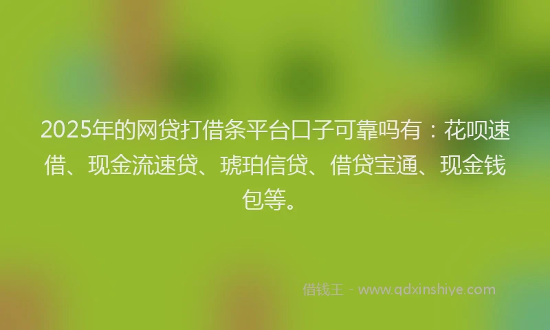 2025年的网贷打借条平台口子可靠吗有:花呗速借、现金流速贷、琥珀信贷、借贷宝通、现金钱包等。