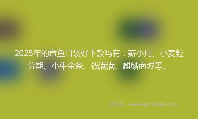 2025年的章鱼口袋好下款吗有：薪小用、小麦粒分期、小牛金条、钱满满、麒麟商城等。