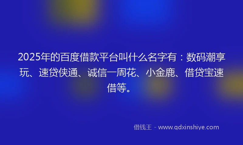 2025年的百度借款平台叫什么名字有：数码潮享玩、速贷侠通、诚信一周花、小金鹿、借贷宝速借等。