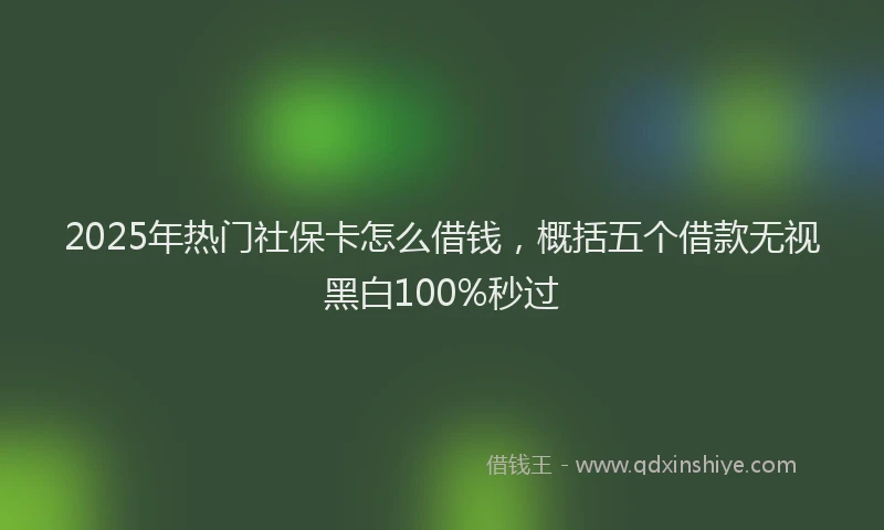 2025年热门社保卡怎么借钱,概括五个借款无视黑白100%秒过