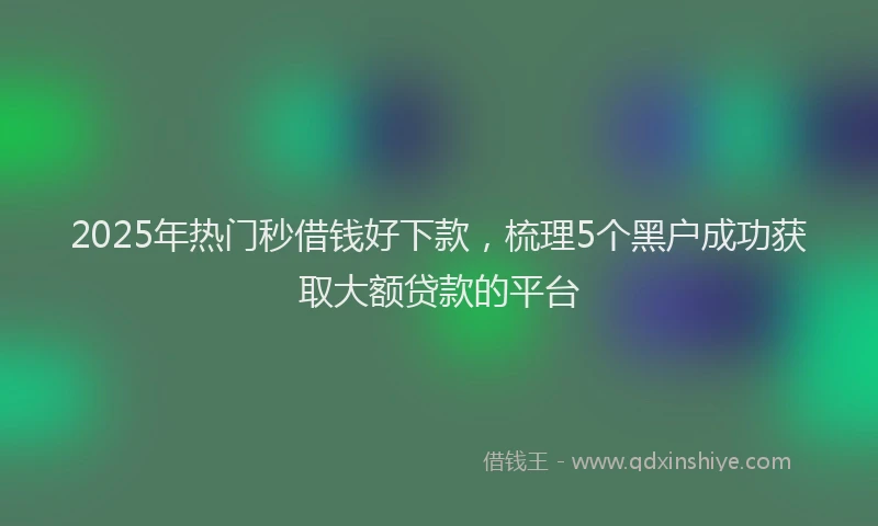 2025年热门秒借钱好下款，梳理5个黑户成功获取大额贷款的平台