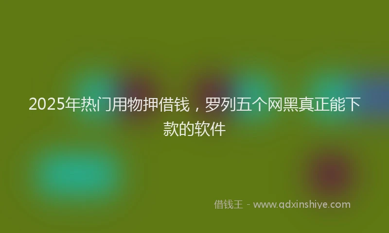 2025年热门用物押借钱，罗列五个网黑真正能下款的软件