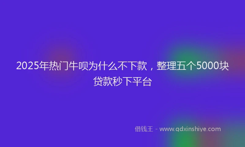2025年热门牛呗为什么不下款，整理五个5000块贷款秒下平台