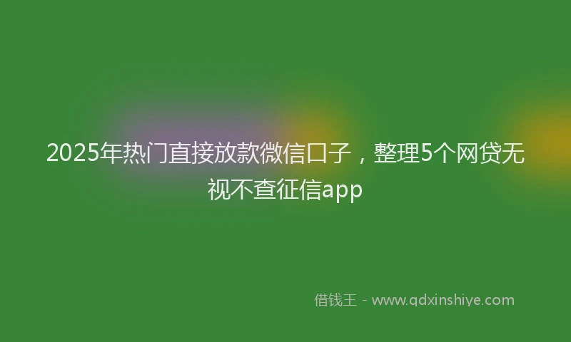 2025年热门直接放款微信口子，整理5个网贷无视不查征信app