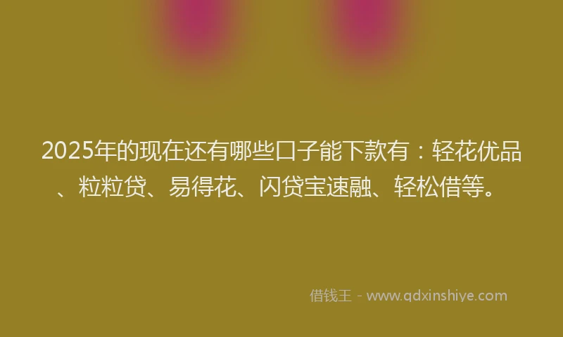 2025年的现在还有哪些口子能下款有：轻花优品、粒粒贷、易得花、闪贷宝速融、轻松借等。