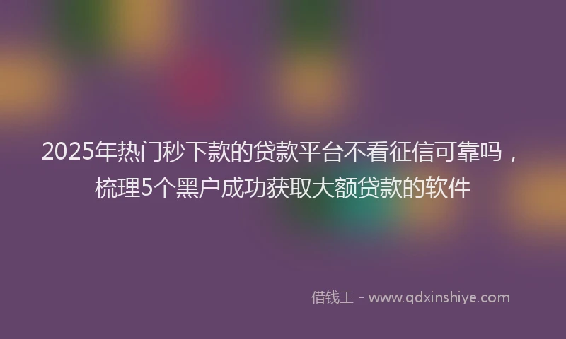 2025年热门秒下款的贷款平台不看征信可靠吗，梳理5个黑户成功获取大额贷款的软件