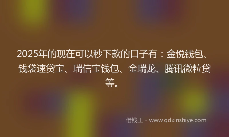 2025年的现在可以秒下款的口子有:金悦钱包、钱袋速贷宝、瑞信宝钱包、金瑞龙、腾讯微粒贷等。