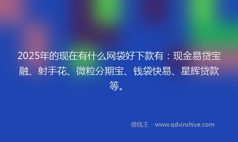 2025年的现在有什么网袋好下款有：现金易贷宝融、射手花、微粒分期宝、钱袋快易、星辉贷款等。