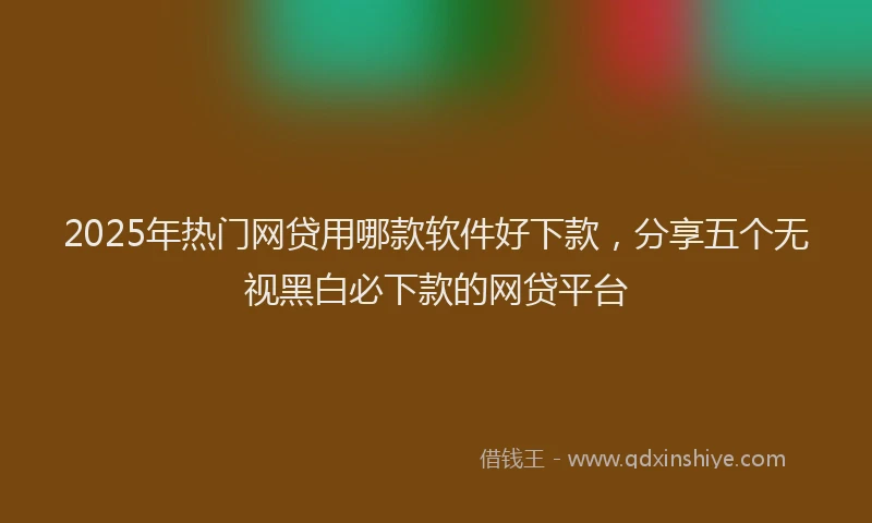 2025年热门网贷用哪款软件好下款，分享五个无视黑白必下款的网贷平台