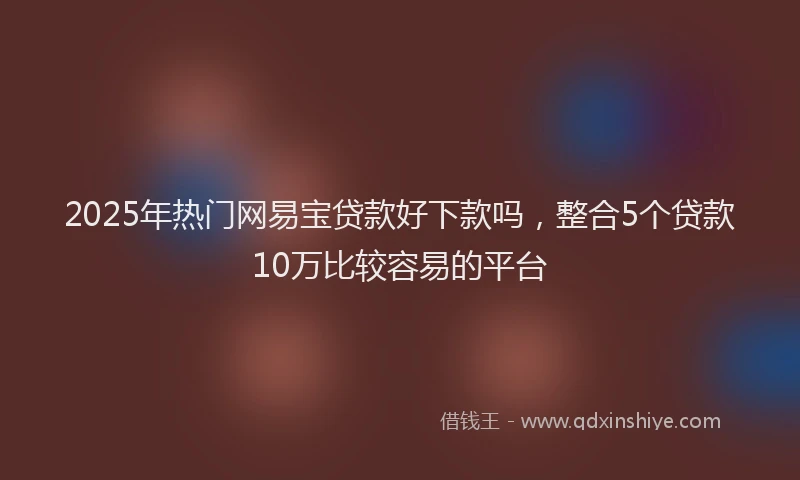 2025年热门网易宝贷款好下款吗，整合5个贷款10万比较容易的平台