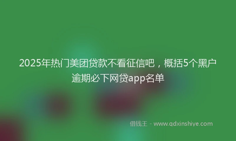 2025年热门美团贷款不看征信吧，概括5个黑户逾期必下网贷app名单
