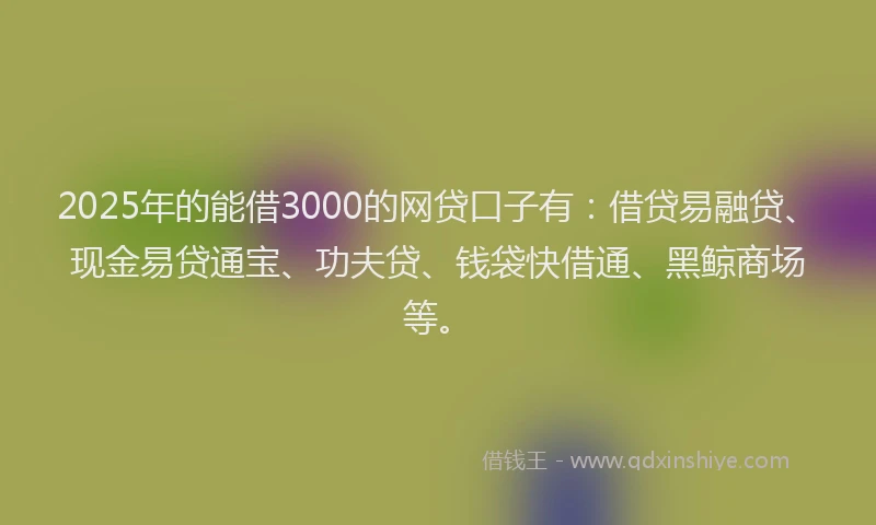 2025年的能借3000的网贷口子有:借贷易融贷、现金易贷通宝、功夫贷、钱袋快借通、黑鲸商场等。