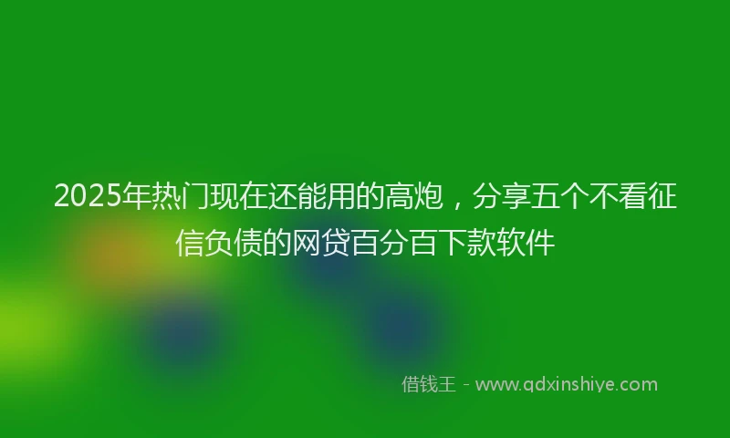 2025年热门现在还能用的高炮，分享五个不看征信负债的网贷百分百下款软件