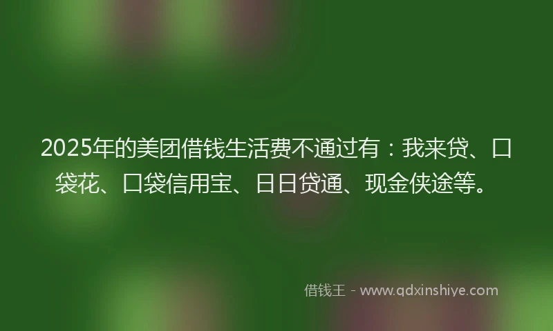 2025年的美团借钱生活费不通过有：我来贷、口袋花、口袋信用宝、日日贷通、现金侠途等。