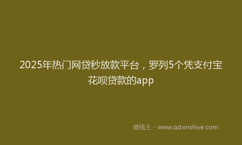2025年热门网贷秒放款平台，罗列5个凭支付宝花呗贷款的app