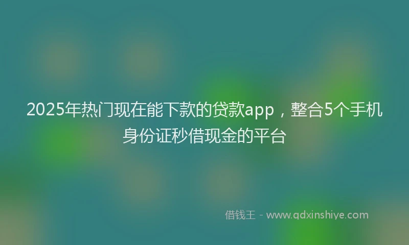 2025年热门现在能下款的贷款app，整合5个手机身份证秒借现金的平台