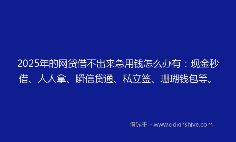 2025年的网贷借不出来急用钱怎么办有：现金秒借、人人拿、瞬信贷通、私立签、珊瑚钱包等。