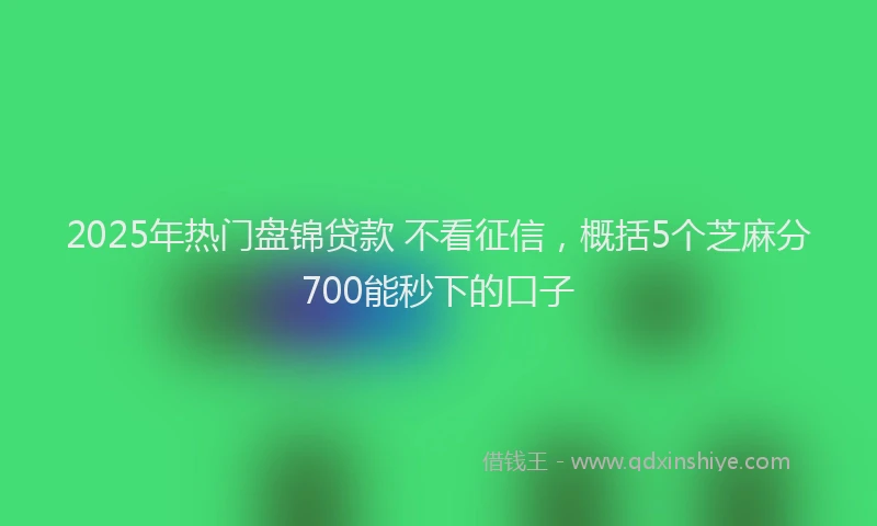 2025年热门盘锦贷款 不看征信，概括5个芝麻分700能秒下的口子