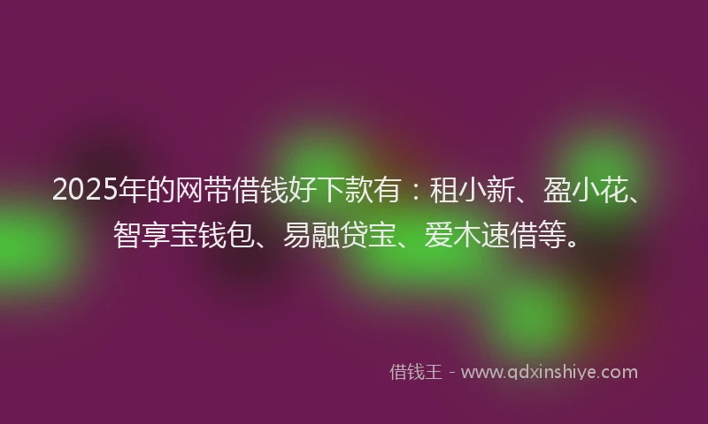 2025年的网带借钱好下款有：租小新、盈小花、智享宝钱包、易融贷宝、爱木速借等。