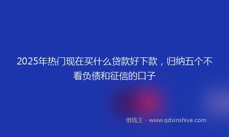 2025年热门现在买什么贷款好下款，归纳五个不看负债和征信的口子