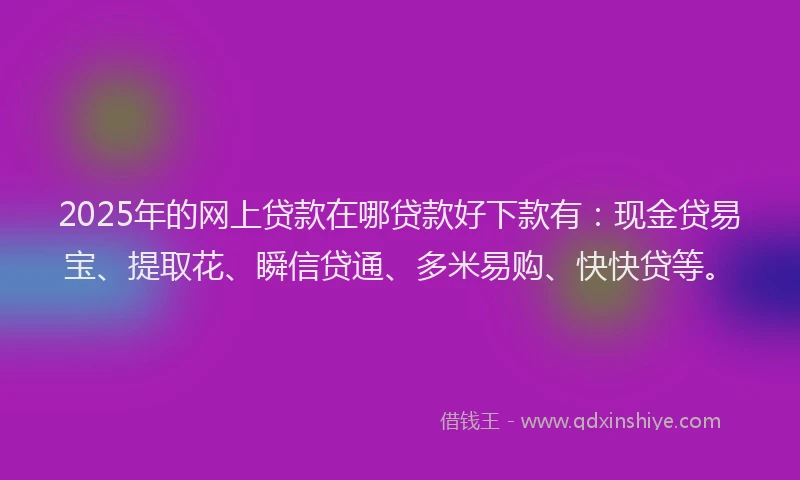 2025年的网上贷款在哪贷款好下款有:现金贷易宝、提取花、瞬信贷通、多米易购、快快贷等。