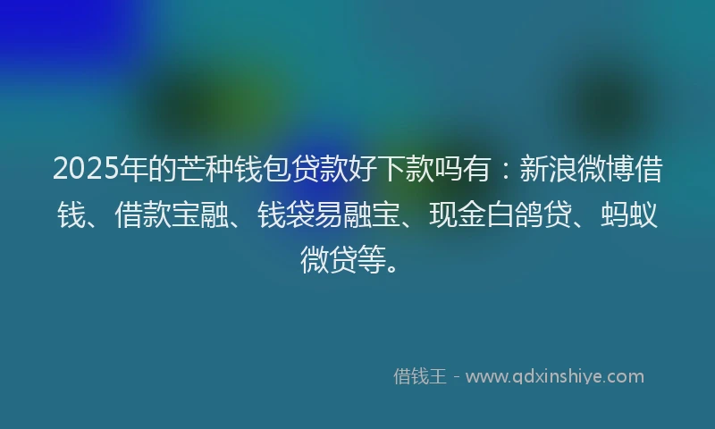 2025年的芒种钱包贷款好下款吗有：新浪微博借钱、借款宝融、钱袋易融宝、现金白鸽贷、蚂蚁微贷等。