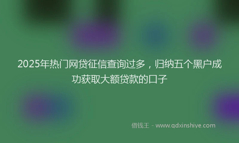 2025年热门网贷征信查询过多，归纳五个黑户成功获取大额贷款的口子