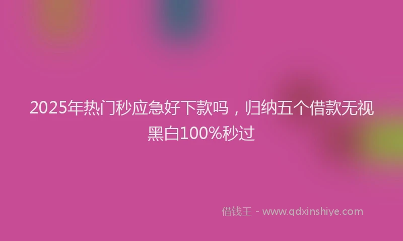 2025年热门秒应急好下款吗,归纳五个借款无视黑白100%秒过